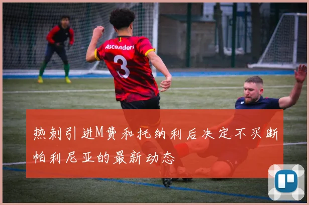 热刺引进M费和托纳利后决定不买断帕利尼亚的最新动态